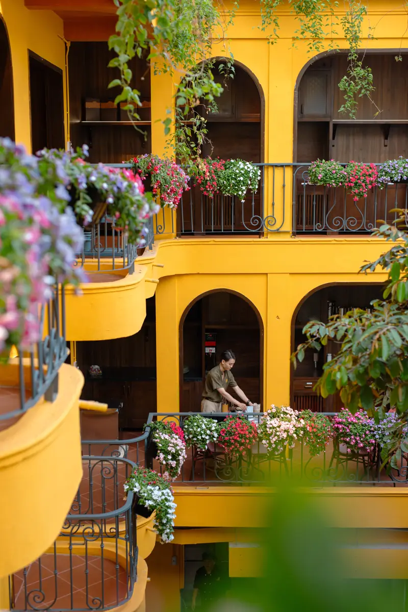 Morning at Đi Chợ — bougainvillea balcony