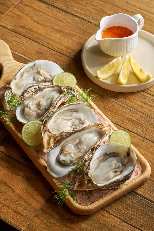 Fresh ocean oysters