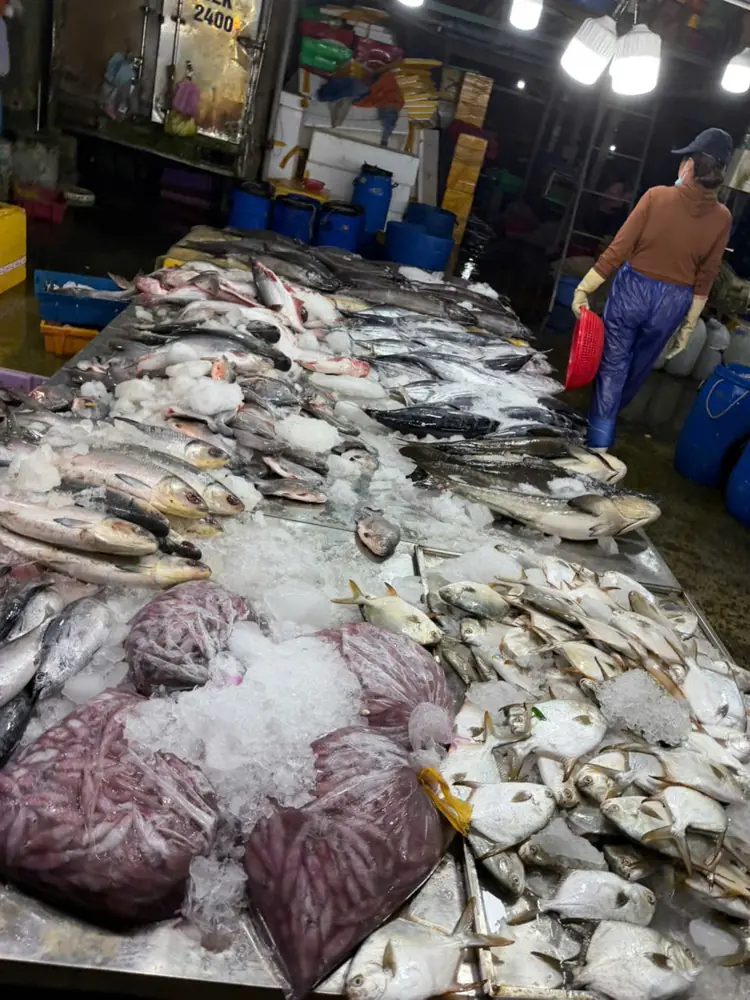 Fresh catch on ice at the Hoi An dawn market