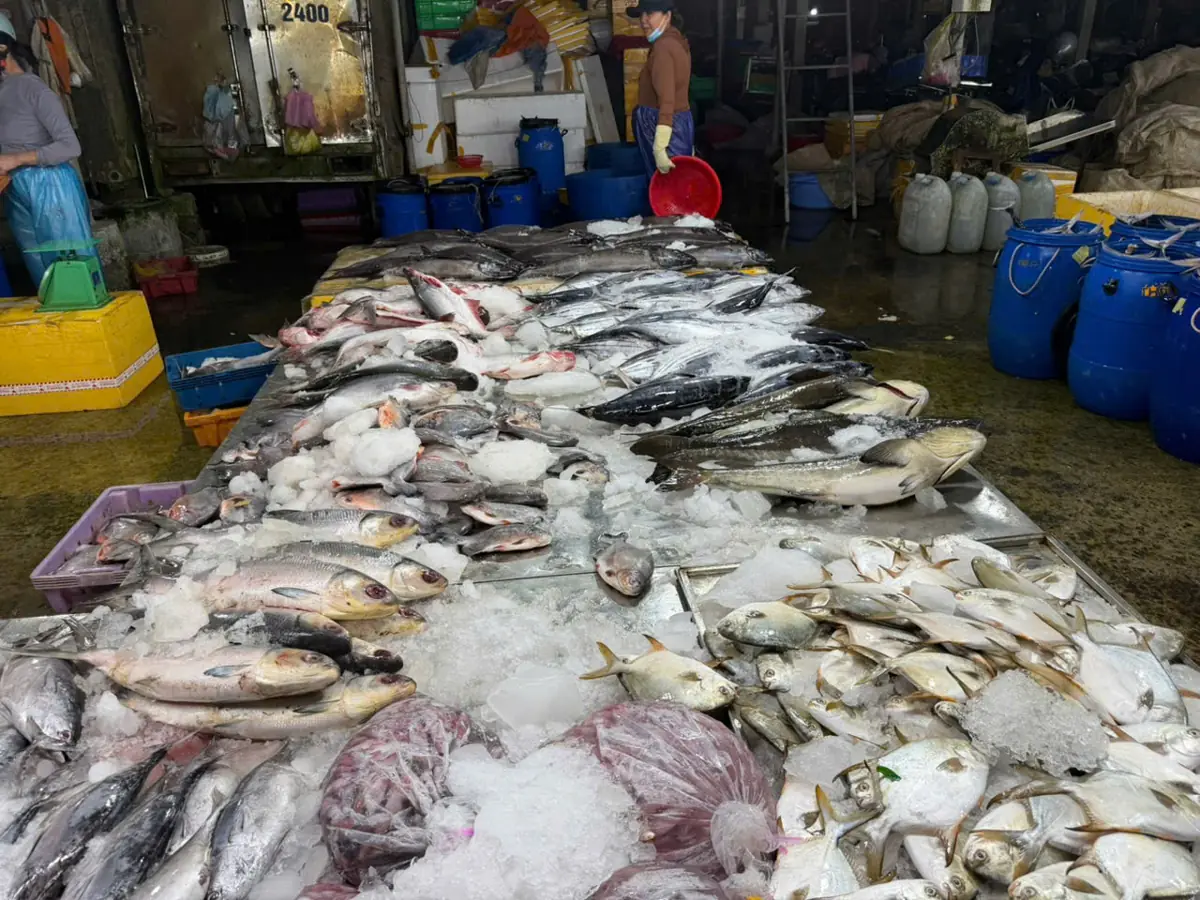 The markets of Hoi An